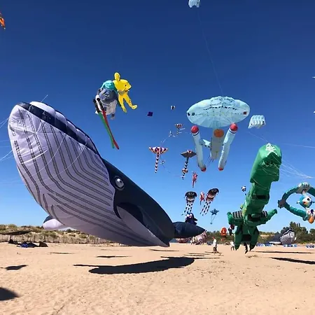 L'ostra De L'impasse Nyaraló Portiragnes